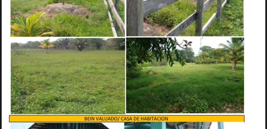 Venta de Propiedad Departamento de Atlántida, Tela.