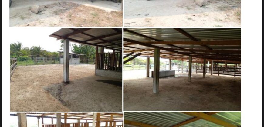 Venta de Propiedad Departamento de Atlántida, Tela.