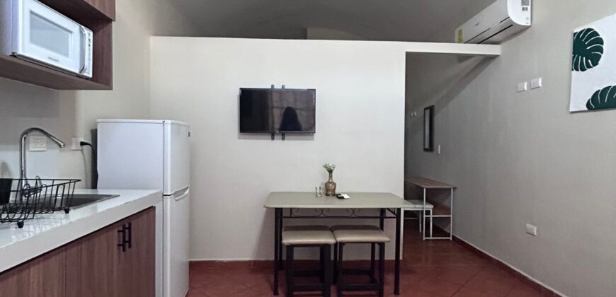 Renta Apartamento Amueblado Residencial El Trapiche.