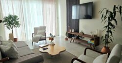 Renta Apartamento Amueblado Colonia Lara