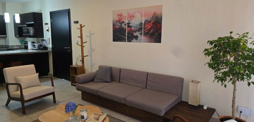 Renta Apartamento Amueblado Colonia Lara