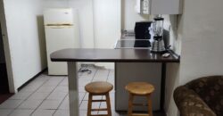 Renta Apartamento Amueblado Colonia Lomas del Guijarro.