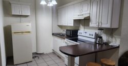 Renta Apartamento Amueblado Colonia Lomas del Guijarro.