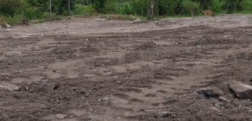 Venta de 2 Terrenos Ciudad La Ceiba, Atlántida