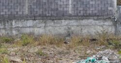 Venta Terreno Residencial Quinta Isabel