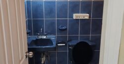 Renta Apartamento Colonia Miraflores