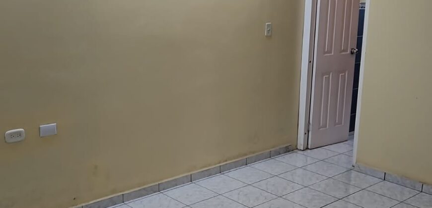 Renta Apartamento Colonia Miraflores