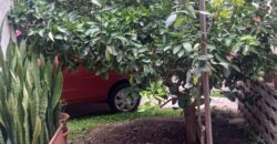 Venta de Casa Colonia América