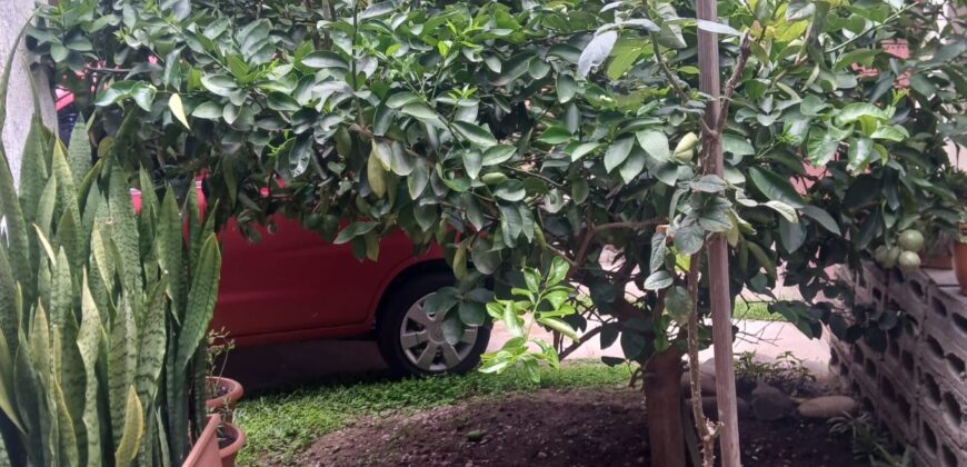 Venta de Casa Colonia América