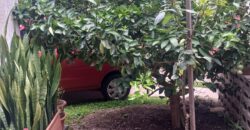 Venta de Casa Colonia América