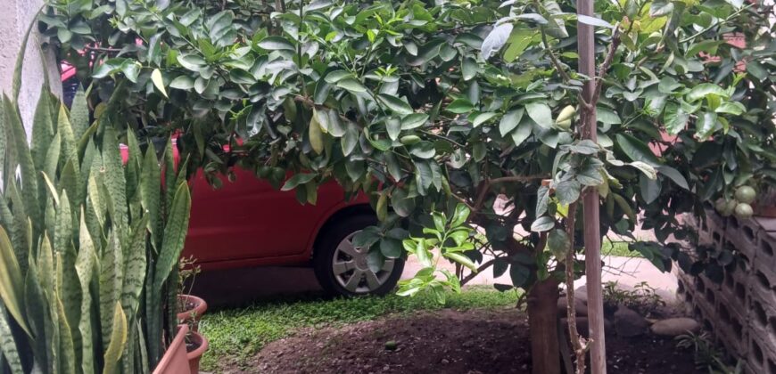 Venta de Casa Colonia América