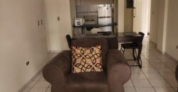 Renta Apartamento Amueblado Colonia Lomas del Guijarro
