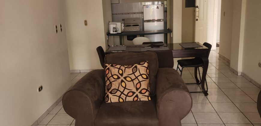 Renta Apartamento Amueblado Colonia Lomas del Guijarro