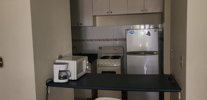 Renta Apartamento Amueblado Colonia Lomas del Guijarro