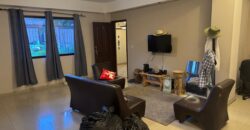 Renta Amplio Apartamento Amueblado Colonia Florencia.