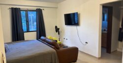 Renta Amplio Apartamento Amueblado Colonia Florencia.