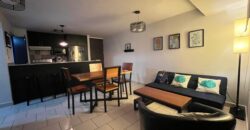 Renta Amplio Apartamento Amueblado Colonia Florencia.