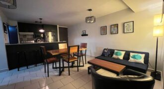 Renta Amplio Apartamento Amueblado Colonia Florencia.