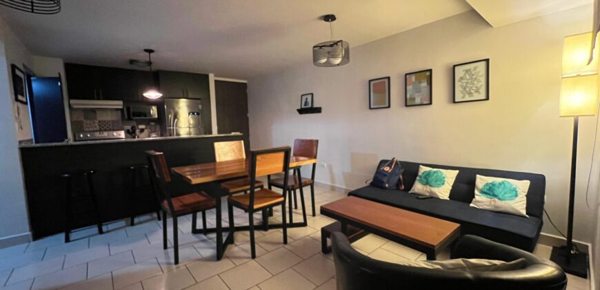 Renta Amplio Apartamento Amueblado Colonia Florencia.