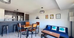 Renta Amplio Apartamento Amueblado Colonia Florencia.