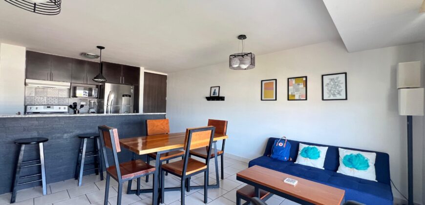 Renta Amplio Apartamento Amueblado Colonia Florencia.