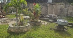Venta de 2 Propiedades En Ojojona, Municipio de Francisco Morazán.