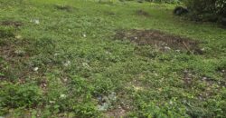Venta de Terreno Municipio de San Buenaventura