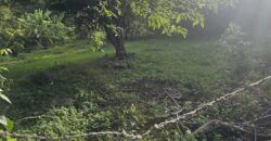 Venta de Terreno Municipio de San Buenaventura