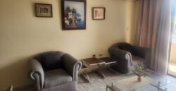Renta Apartamento Amueb⁸lado Colonia Lomas del Guijarro